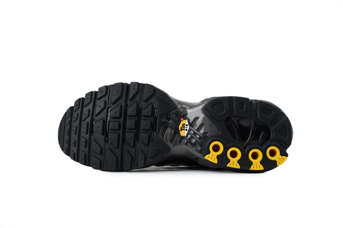 Nike Air Max Plus Sneakers | EU 39¨C47.5