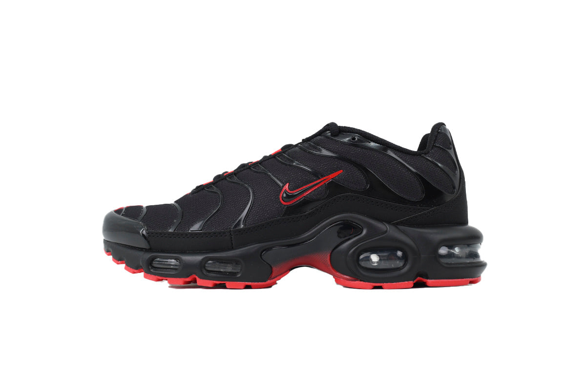 Nike Air Max Plus Sneakers | EU 39¨C47.5