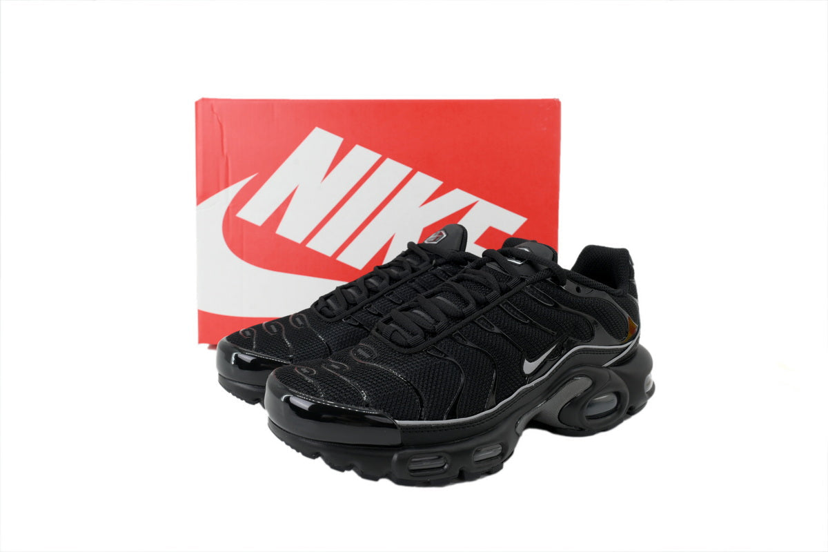 Nike Air Max Plus Sneakers | EU 39¨C47.5