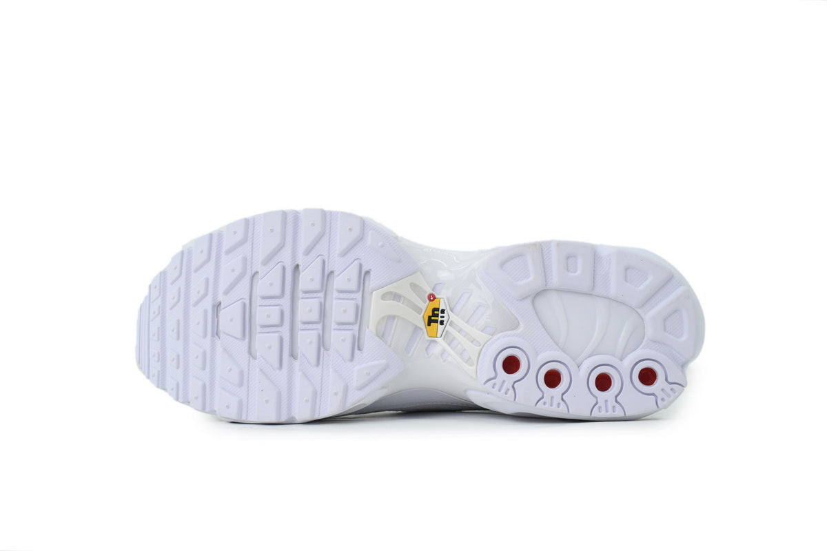 Nike Air Max Plus Sneakers | EU 39¨C47.5