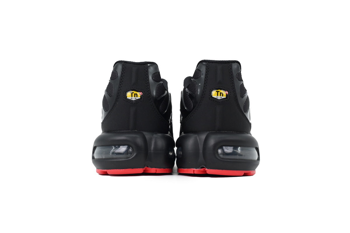 Nike Air Max Plus Sneakers | EU 39¨C47.5